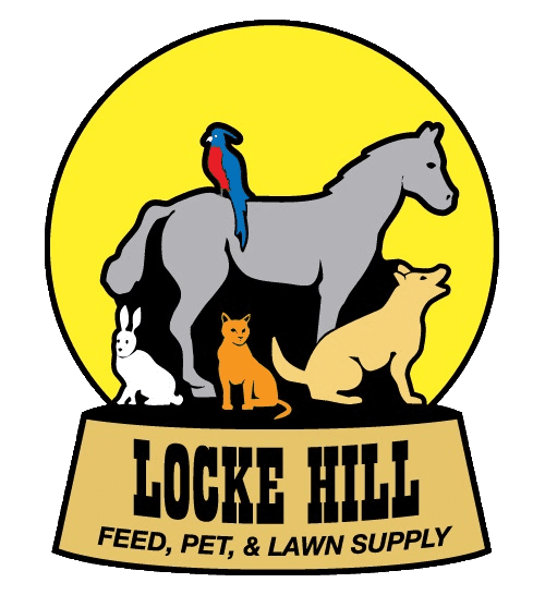 LOCKHILL PET Feed